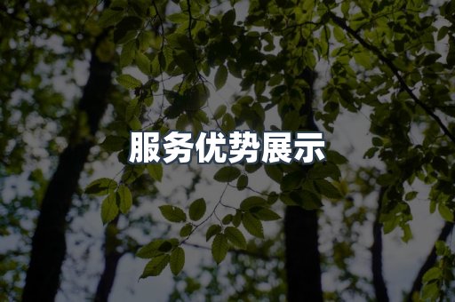 服务优势展示